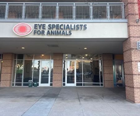 Eye Specialists for Animals