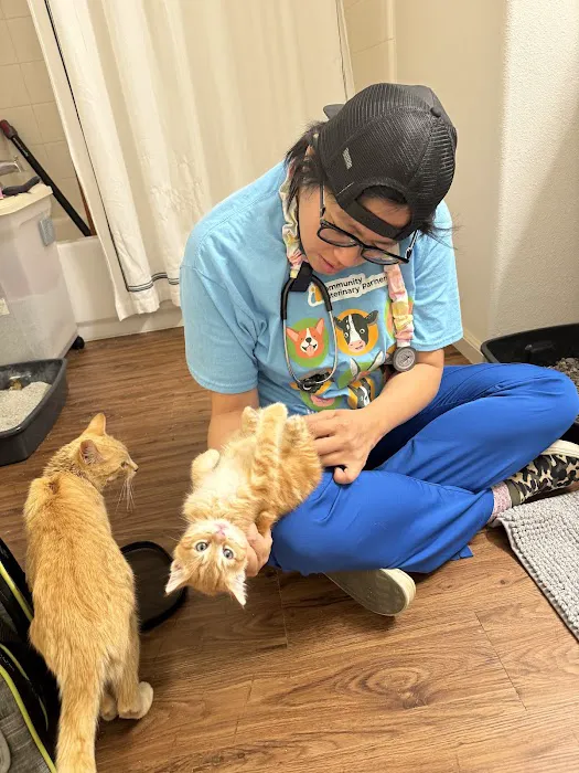 Mobile Small Animal Clinic Picture 5