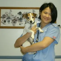 Mobile Small Animal Clinic Picture 1