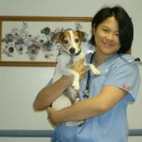Mobile Small Animal Clinic ico