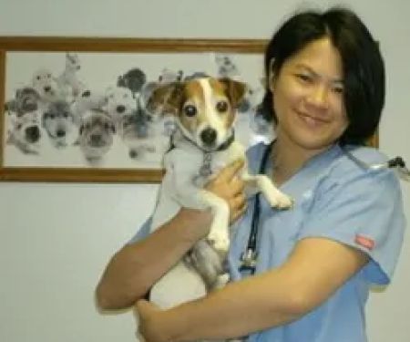 Mobile Small Animal Clinic