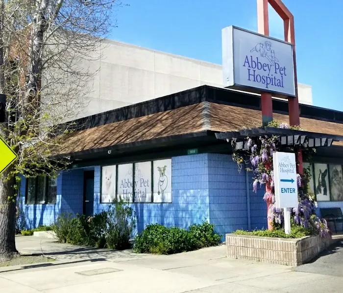 Abbey Pet Hospital Picture 9