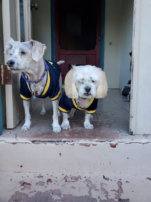 Abbey Pet Hospital Picture 8
