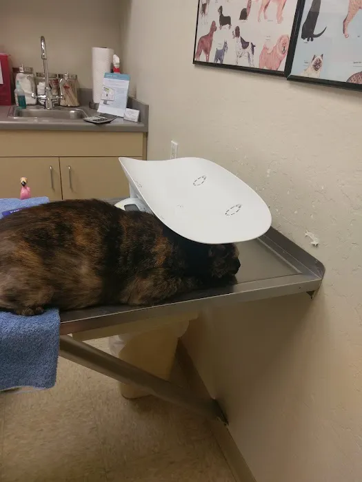Abbey Pet Hospital Picture 10