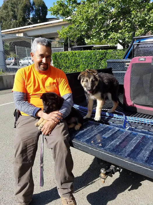 El Cerrito Pet Hospital Picture 5