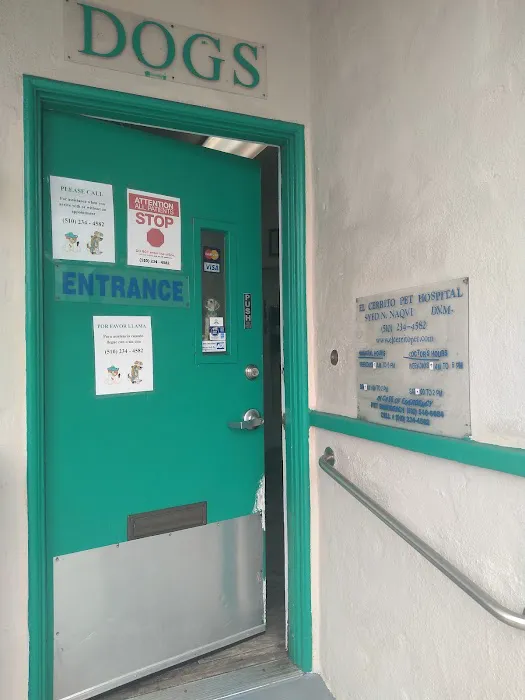 El Cerrito Pet Hospital Picture 9