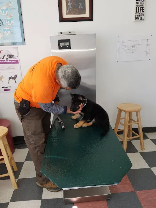 El Cerrito Pet Hospital Picture 1