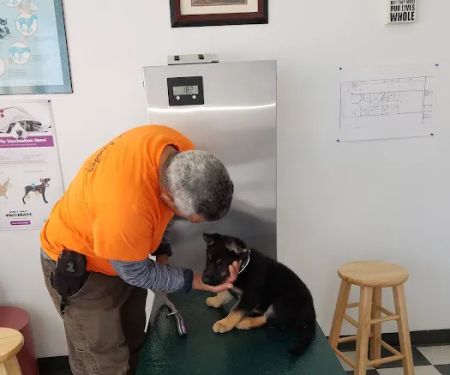 El Cerrito Pet Hospital