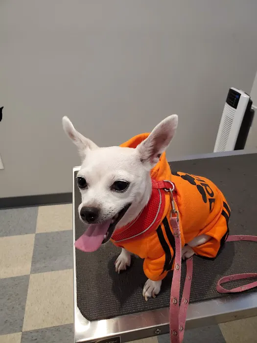 Richmond Veterinary Hospital Picture 6
