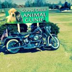 Goose Creek Animal Clinic: Watson Ray DVM
