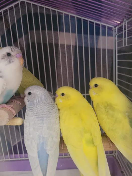 All Pets Veterinary Center Picture 1