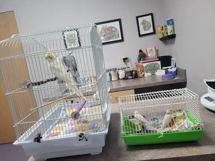 All Pets Veterinary Center Picture 3