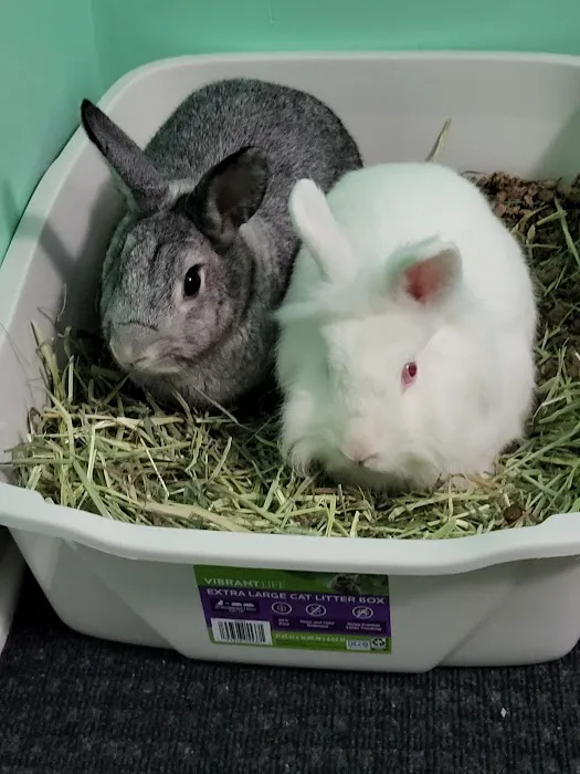 All Pets Veterinary Center Picture 9