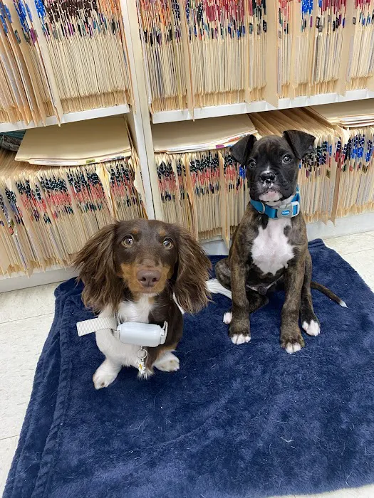 Dr John's Pet Care Clinic Picture 7