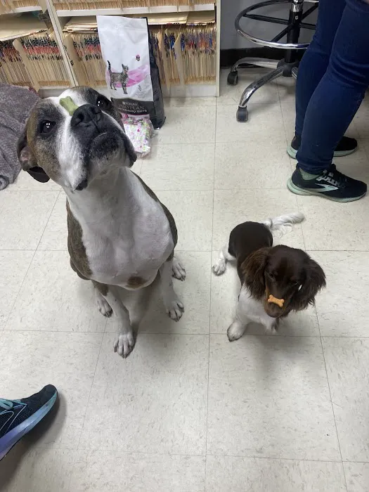 Dr John's Pet Care Clinic Picture 4