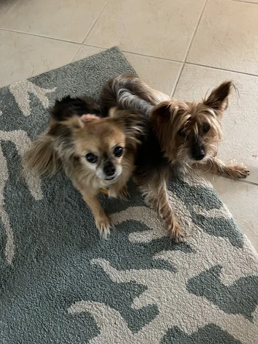 Dr John's Pet Care Clinic Picture 10