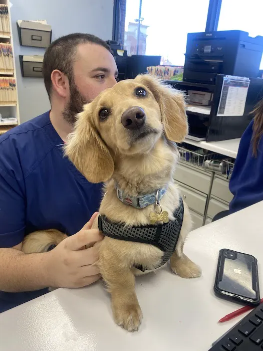 Dr John's Pet Care Clinic Picture 5