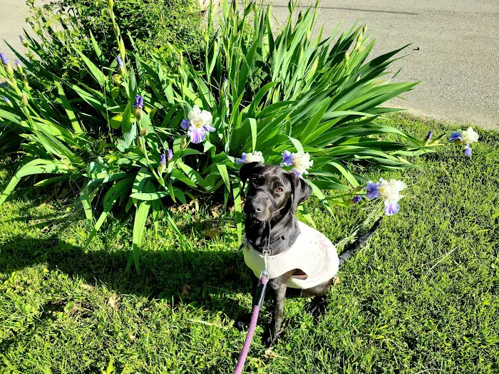 Banfield Pet Hospital Picture 7