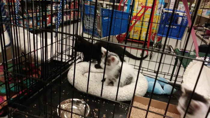 Banfield Pet Hospital Picture 9