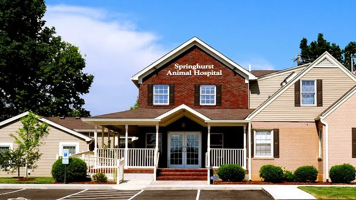 Springhurst Animal Hospital Picture 6