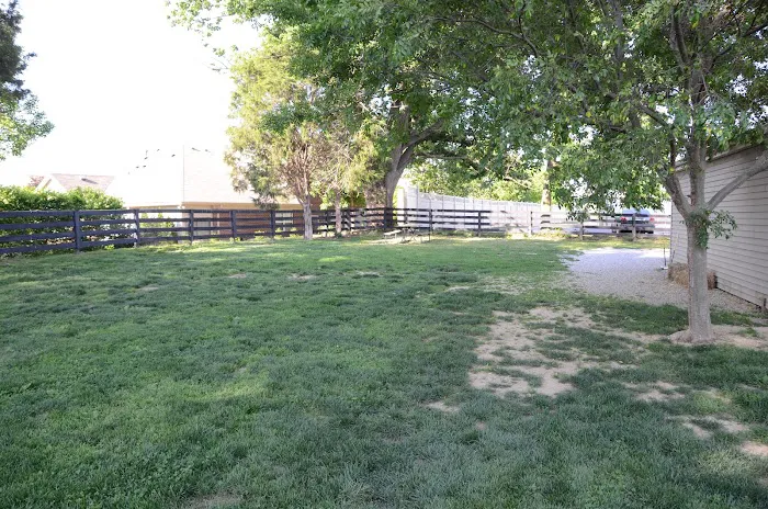 Springhurst Animal Hospital Picture 2