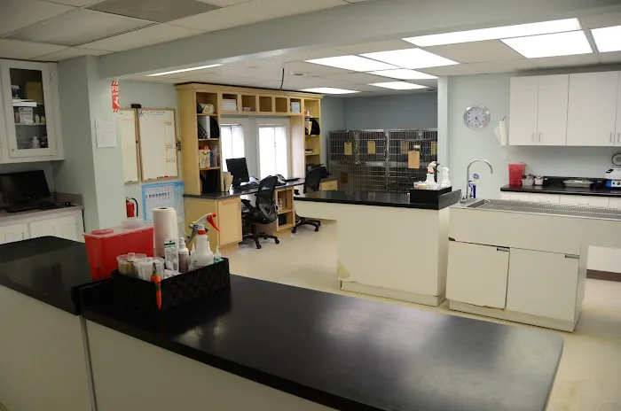 Springhurst Animal Hospital Picture 4