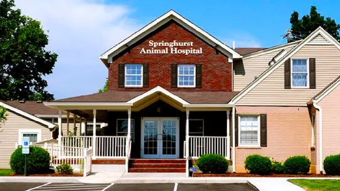 Springhurst Animal Hospital Picture 10