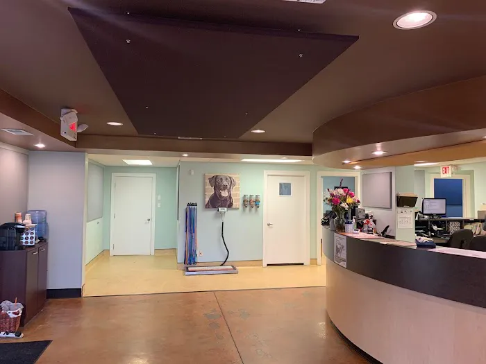 Springhurst Animal Hospital Picture 5