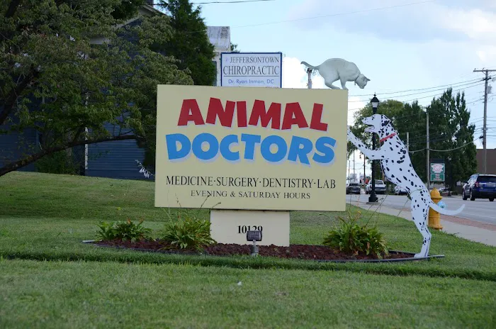 Animal Doctors Picture 7