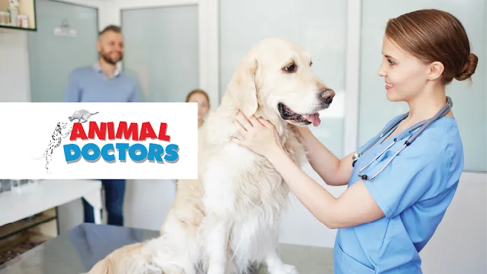 Animal Doctors Picture 10