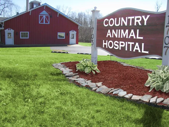 Country Animal Hospital Picture 10