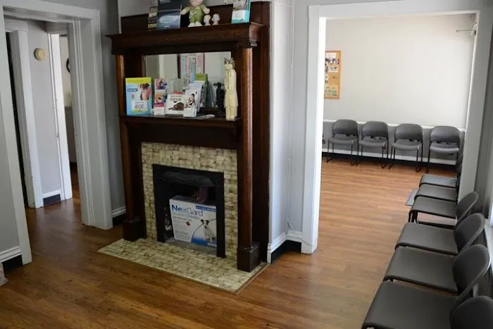 Gaslight Square Animal Hospital Picture 5