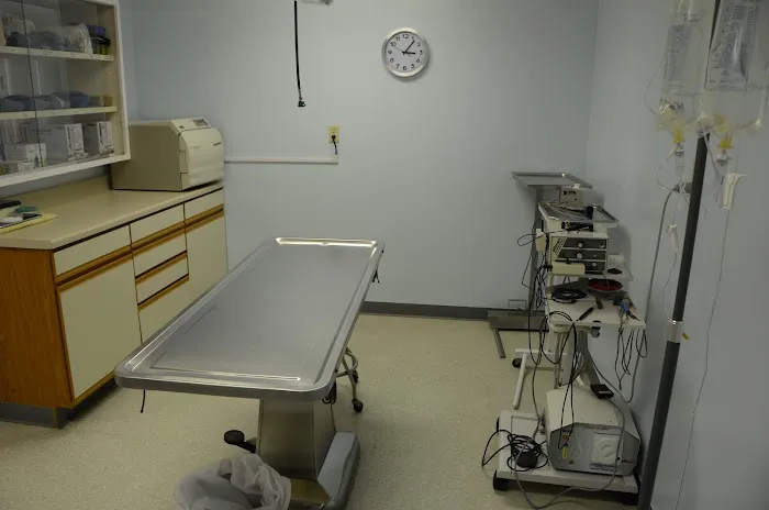 Gaslight Square Animal Hospital Picture 2
