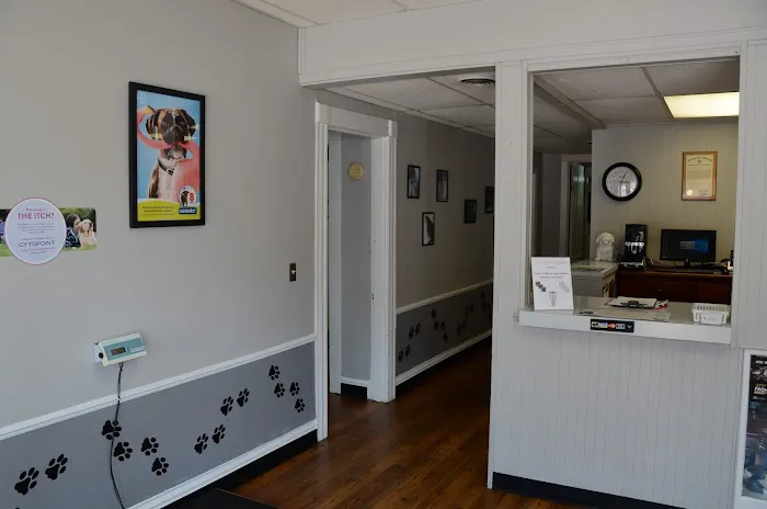 Gaslight Square Animal Hospital Picture 1