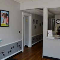 Gaslight Square Animal Hospital ico