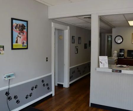 Gaslight Square Animal Hospital