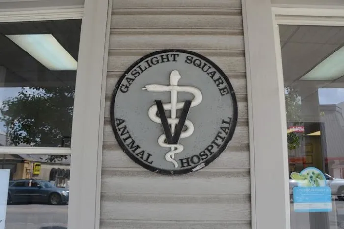 Gaslight Square Animal Hospital Picture 7