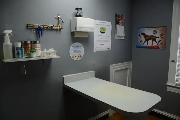 Gaslight Square Animal Hospital Picture 9
