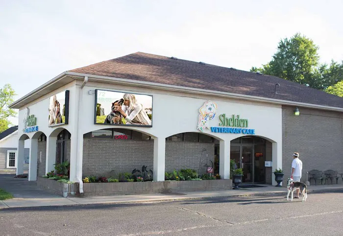 VCA Shelden Animal Hospital Picture 3
