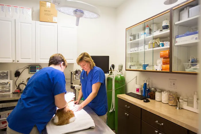 VCA Shelden Animal Hospital Picture 9