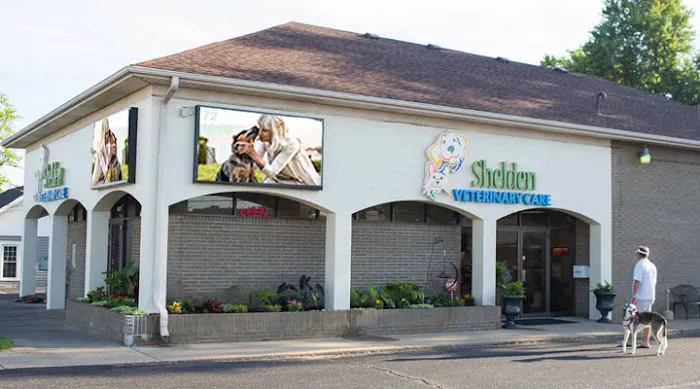 VCA Shelden Animal Hospital Picture 2