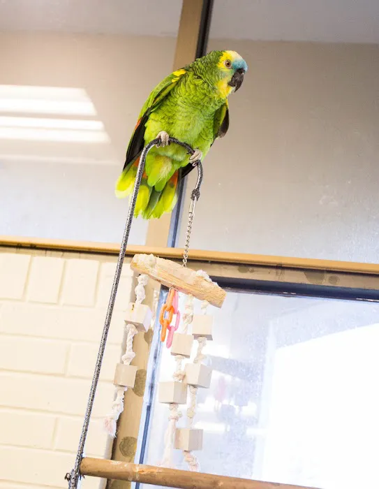 VCA Shelden Animal Hospital Picture 6