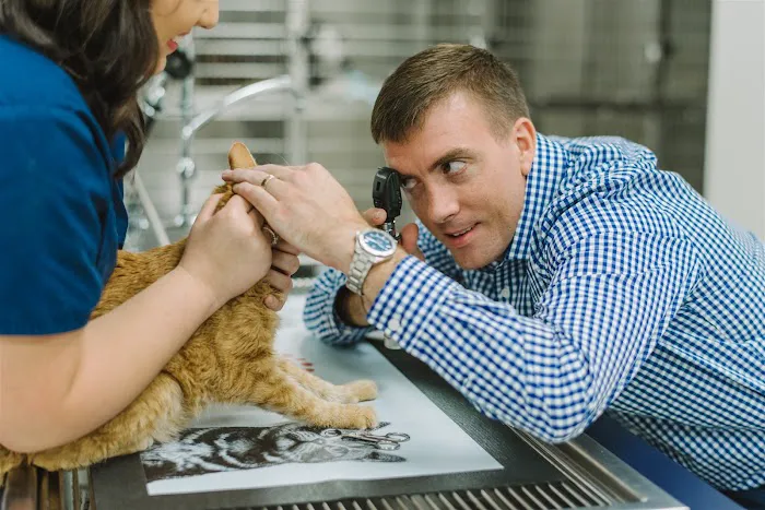 Dogwood Veterinary Clinic Picture 2