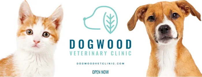 Dogwood Veterinary Clinic Picture 3