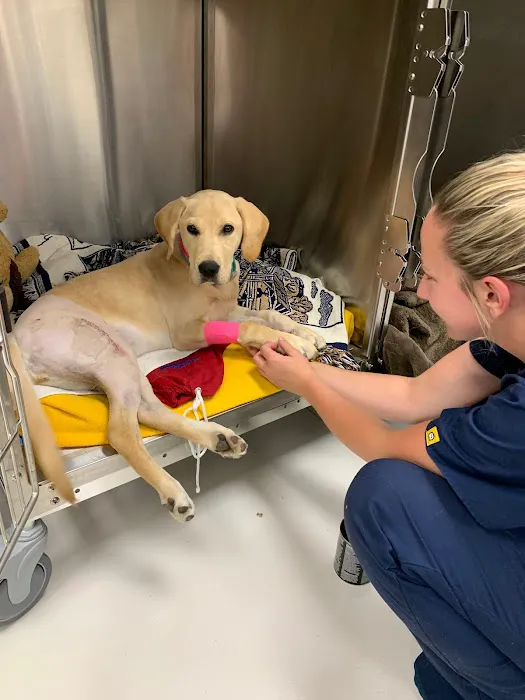 Dogwood Veterinary Clinic Picture 7