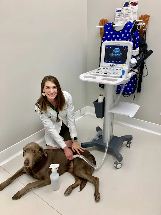 Dogwood Veterinary Clinic Picture 4