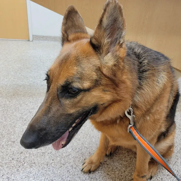 Hillside Animal Clinic Picture 5
