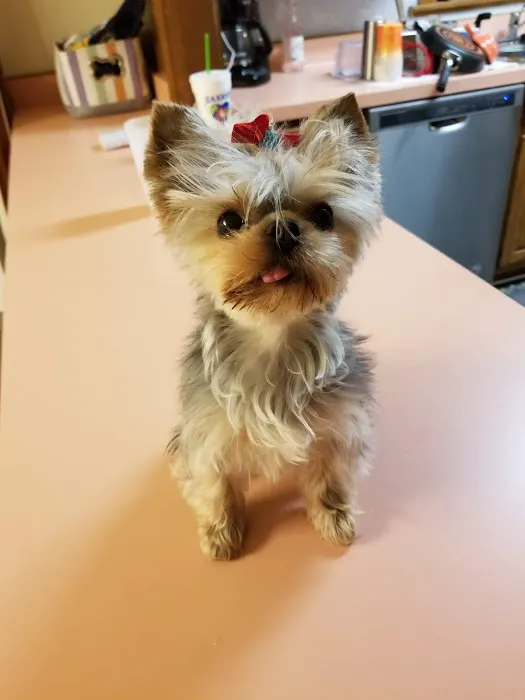 Edwardsville Animal Clinic Picture 8