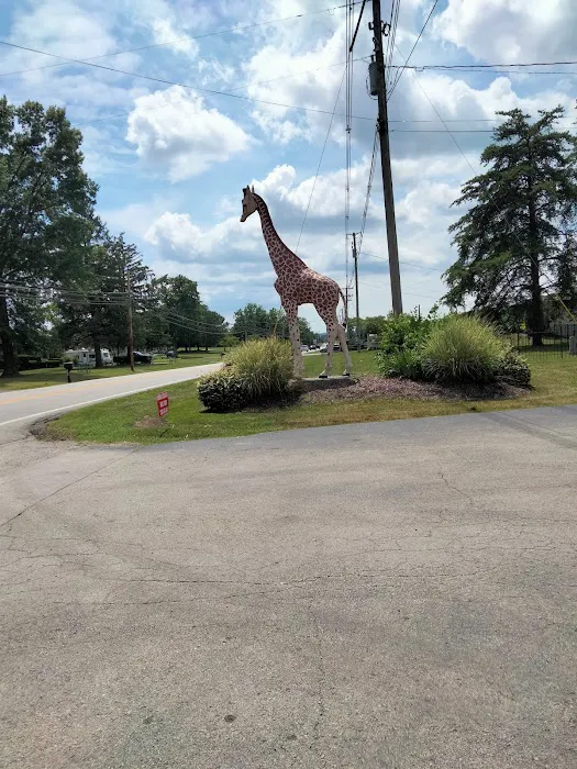 Bullitt County Veterinary Center Picture 6