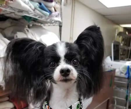 Fegenbush Lane Animal Clinic